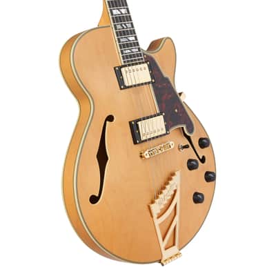 D'Angelico DADSSSHNGT DELUXE SS Single Cutaway Semi-Hollow Body 6-String Electric Guitar w/Deluxe Hardshell Case image 4