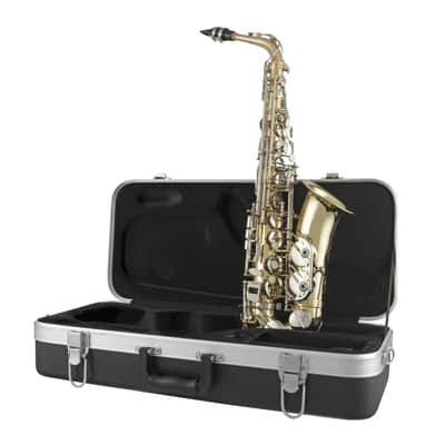 Selmer SAS301 Alto Saxophone Outfit image 3
