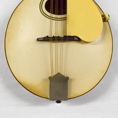 Gibson A-3 Mandolin 1919 - Ivory image 3