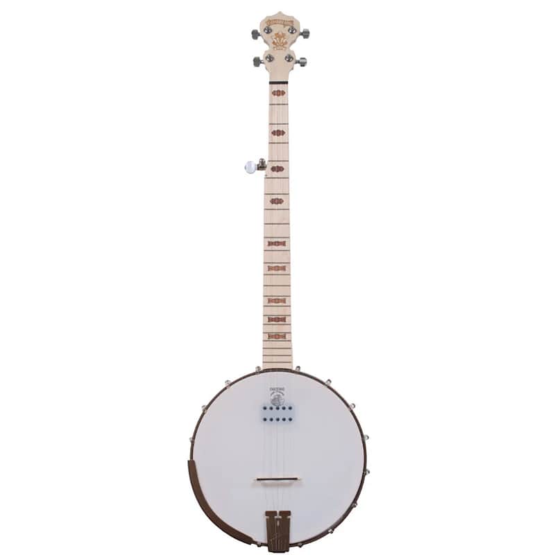 Deering Goodtime Acoustic/Electric 5-String Banjo | Reverb