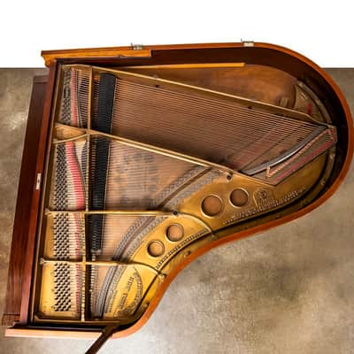 Golden-Era Resonance: Steinway Model O image 8