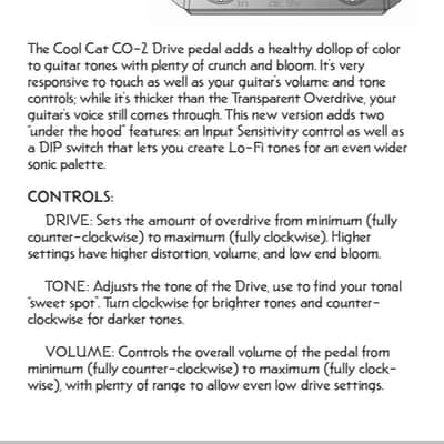 Danelectro Cool Cat Drive V2 image 7