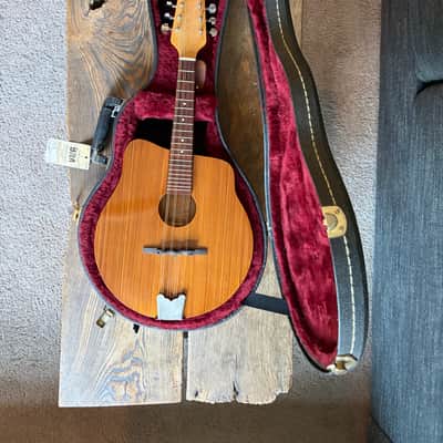 Elloree electric/acoustic mandolin custom mid-90's image 2