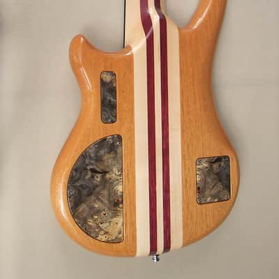 Alembic Custom Essence 5 String Buckeye Burl image 5
