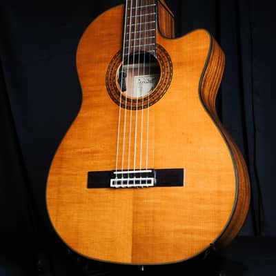 Used Alvarez Artist Series AC60S Nylon Acoustic Guitar image 7