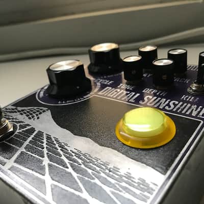 Custom Digital Sushine Reverb / take on Ty Segall's Death By Audio Sunshine Reverberation DBA image 2