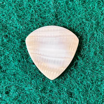 Seashell guitar pick/2.7mm thick, jazz profile, grip surface … by BeachSidePicks image 2