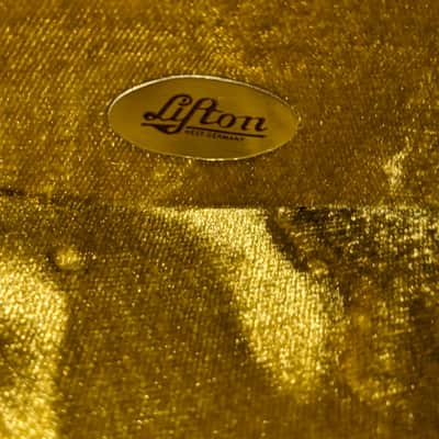 Very Rare Luxury Lifton Vintage Violin Case MINT image 3