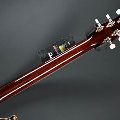 PRS DGT Semi-Hollow w/ Birds 10-Top McCarty Tobacco Sunburst #495 image 19