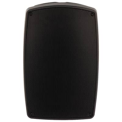 Algam Audio Tr12 Bt Altoparlante Portatile A Batteria Con 2 Microfoni Wireless E Bluetooth image 4