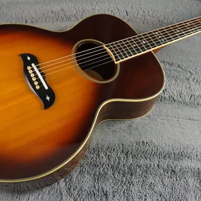 Aria Elecord FE-60 w/ Built-In Electronics w/ Hard Case image 4