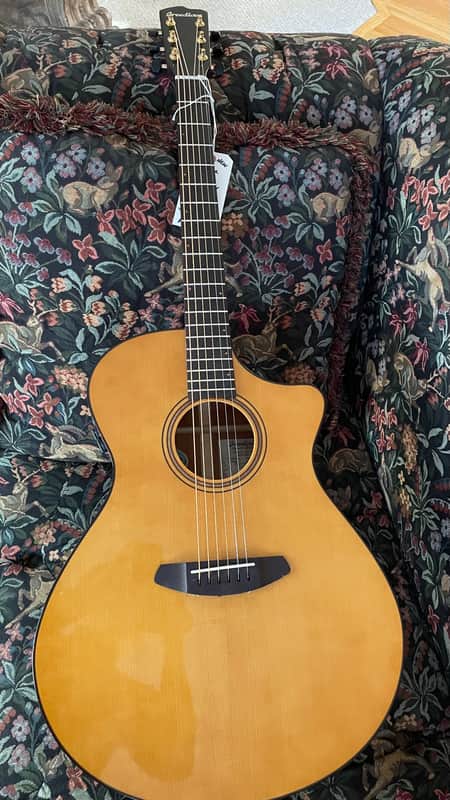 Breedlove Performer Pro CE image 1