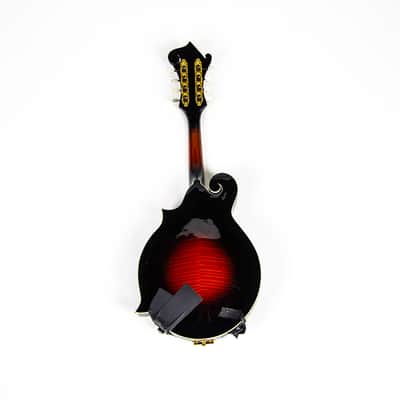 Michael Kelly F Style Mandolin Owned by Matt Freeman Of Rancid image 3