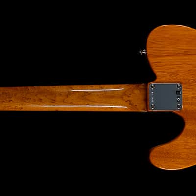 Fender Custom Shop Artisan Coco Thinline Tele® NOS (299) image 3