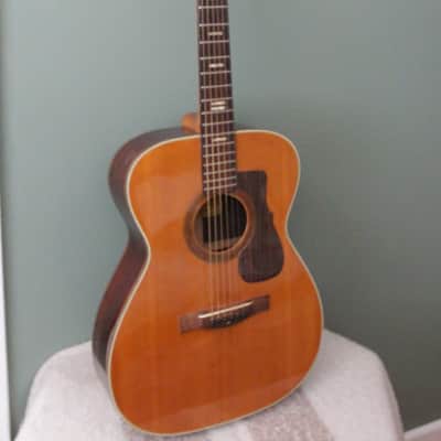Kasuga F-100 Vintage Acoustic Guitar | Reverb