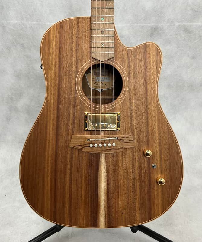 Cole Clark FL2EC-BLBL-HUM Acoustic/Electric Guitar w/ | Reverb UK