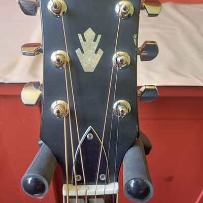 Mountain W-350 70s Very Rare! Japan Gibson Country Western style Amazing tiger strike back, Japan vintage case image 6
