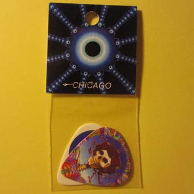 Grateful Dead Guitar Picks - 2 Pack; Steal Your Face & Bertha; Medium .7mm; Printed Fierce Picks image 3