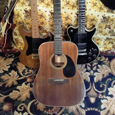 Alvarez 5221 12 String Mahogany image 1