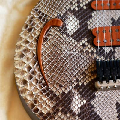 Build to Order GB Liuteria Boutique  Plié 6 string python edition for GIANLUCA GRIGNANI image 20