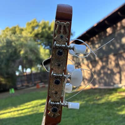 Ryoji Matsuoka 1980 Model 30 Cedar and Rosewood Classical Guitar image 11