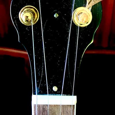 Tim Davis Banjos Mack Crowe Gold Engraved Bluegrass Banjo 2020 Mahogany image 13