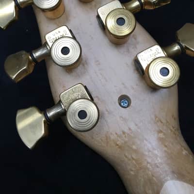 RKS Open Architecture Concept Guitar Leather #V33 1689 image 18