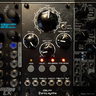 Erica Synths DIY Delay NEW image 2