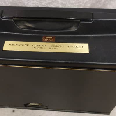 Vintage USA Magnatone Estey RS-1 remote speaker cab image 7
