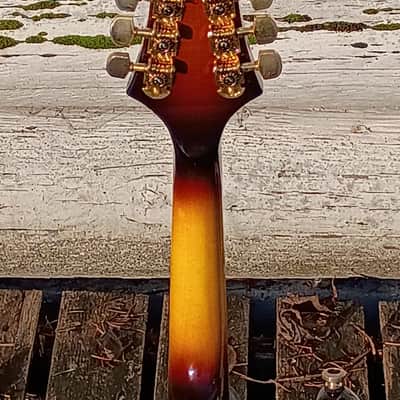 Gold Tone GM-110 Rigel Mandolin 2010s - Tobacco Sunburst image 5