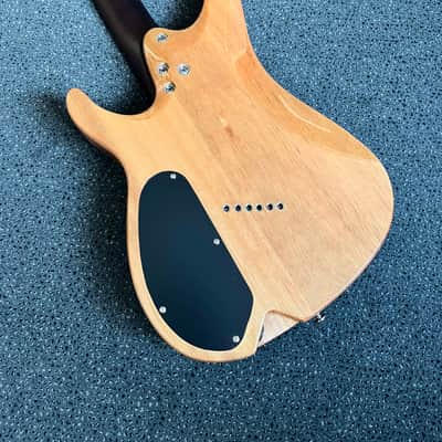 Immagine Ormsby SX Joe Haley 6-string Ob - Run15 - 8