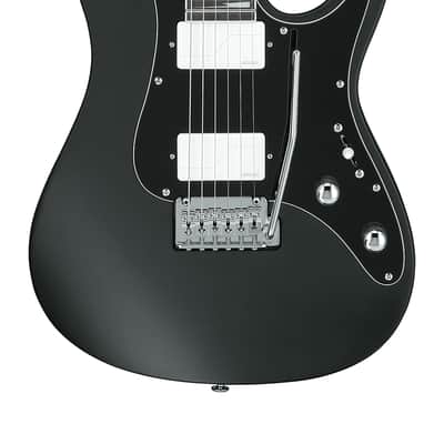 Ibanez BER10-BK Bernth Signature Premium - Black Matte image 1