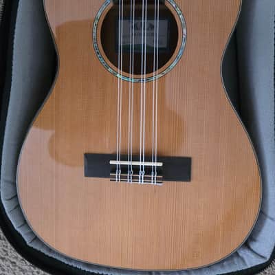 Kala KA-SCAC-B8 8 String Baritone Ukulele "Horace" image 8