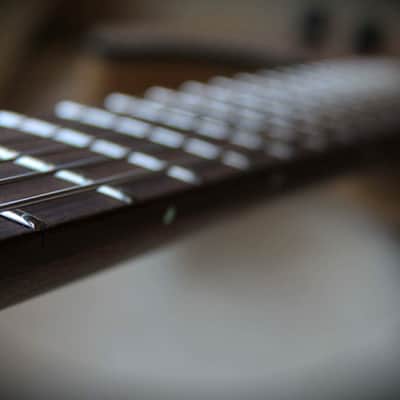 Schecter USA Custom Shop Masterworks Banshee Exotic 2018 image 9