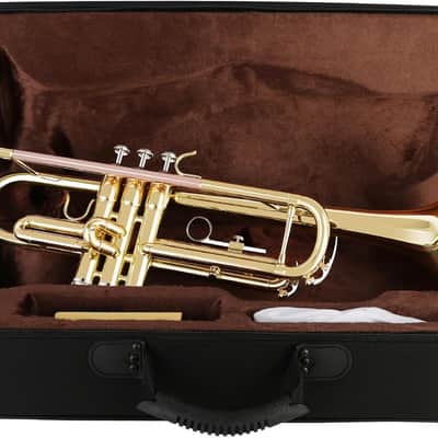 Trumpet Standard Trumpet Set with Carrying Case,Gloves, 7C Mouthpiece, Cleaning Kit, Tuning Rod (GOLD/Phosphor Copper) image 2