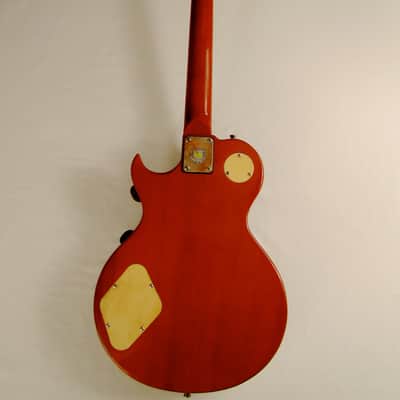 Tony Cochran Guitars Custom #50 "Lidia" 2015 - Aged Leather & Chrome image 14