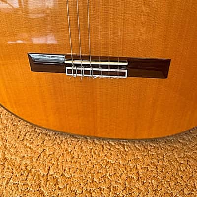 Cordoba C10 Cedar Classical Guitar – Very Good Condition, Pre-Yamaha Era (2019) image 8