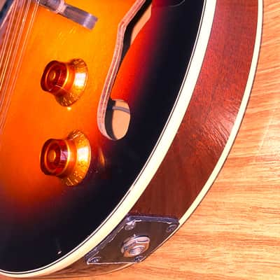 Mandolin 8 String Stunning Vintage Sunburst by Samick Greg Bennett WITH Pickup! image 13