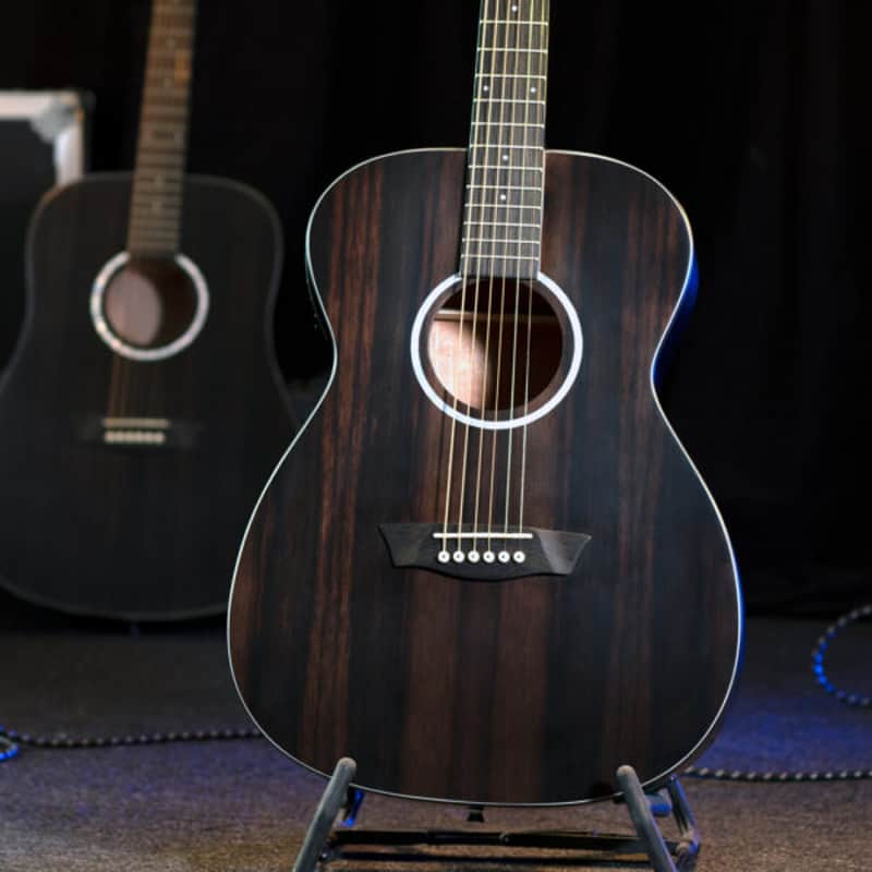 Washburn Deep Forest Folk Acoustic/Electric Guitar. Striped Ebony, New, Free Shipping  DFEFE-U image 1