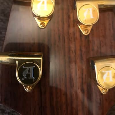 Immagine Alembic Essence 5 string - 9