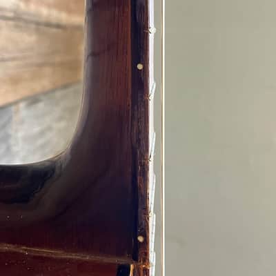 (16604) Continental DC-310 Classical Guitar image 7