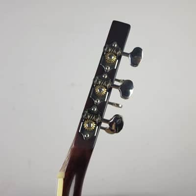Alvarez AP910VSB - Vintage Sunburst With OHSC image 4
