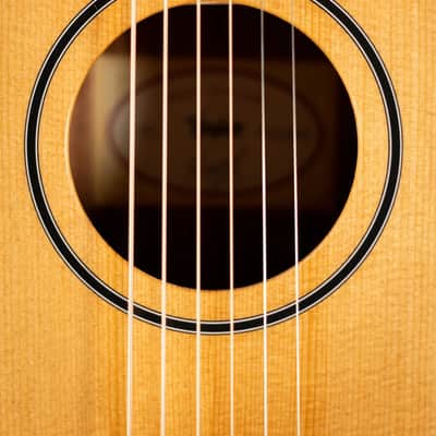 Taylor BT1 Baby Taylor Acoustic Guitar with Gig Bag image 10