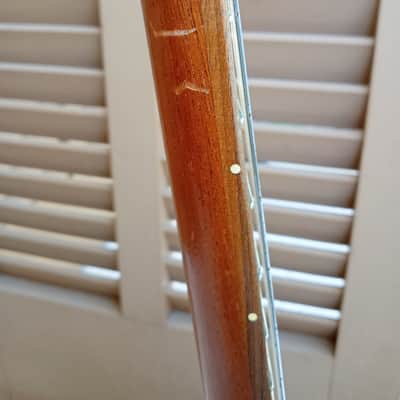 Bonanza Homestead Baritone 2022 image 10