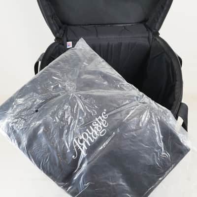 Acoustic Image Ten2 S4 631AA Double Bass Amp with Mooradian Bag image 6