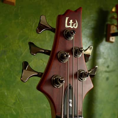 ESP LTD B-5E Neck-thru active 5-string bass (Mahogany top version) image 3