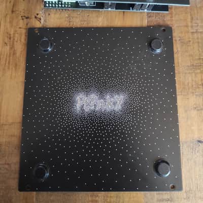 Plinky Synthesizer V1 Original Batch w/Eurorack Expander And 3d Printed Case image 2