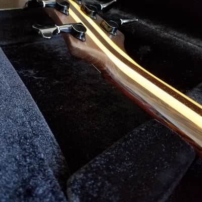Tobias Toby Pro 5, Neck-through, Active Electronics Bild 15