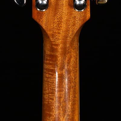 Gibson Les Paul Standard 60s Double Trouble Vintage Bourbon Burst Gloss (044) image 6