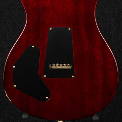 Paul Reed Smith DGT 10-Top Birds - Dark Cherry Burst image 2